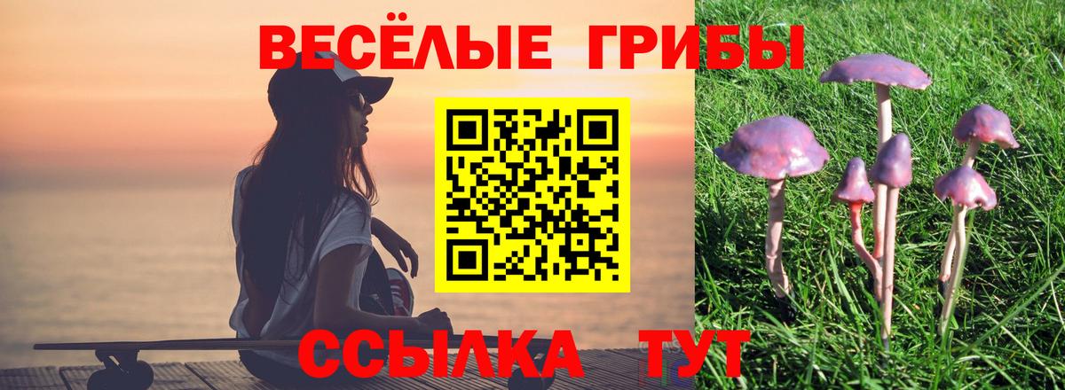 Псилоцибиновые грибы Cubensis Аксай